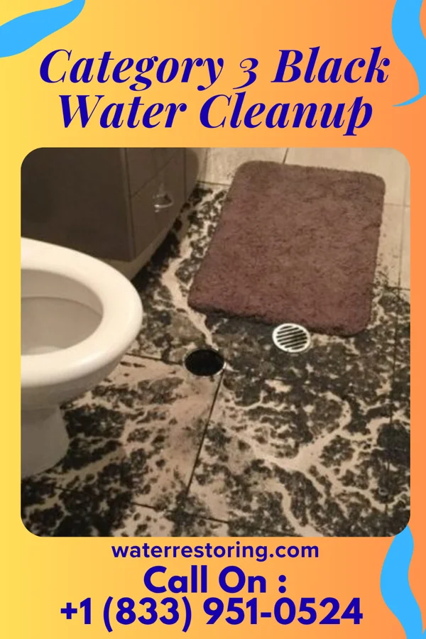 Category 3 Black Water Cleanup in Selma, IN