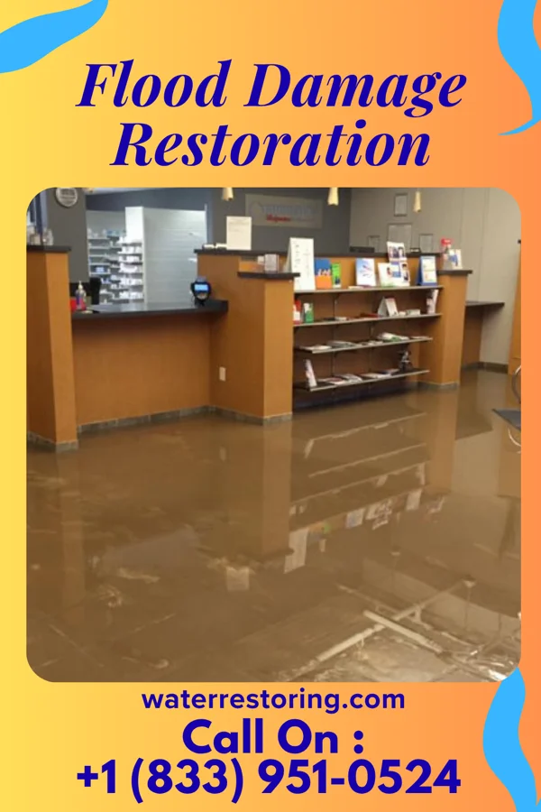 Flood Damage Restoration in Selma, IN