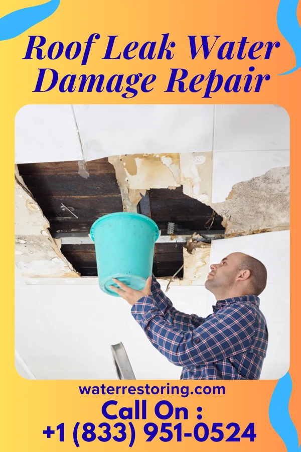 Roof Leak Water Damage Repair in Selma, IN
