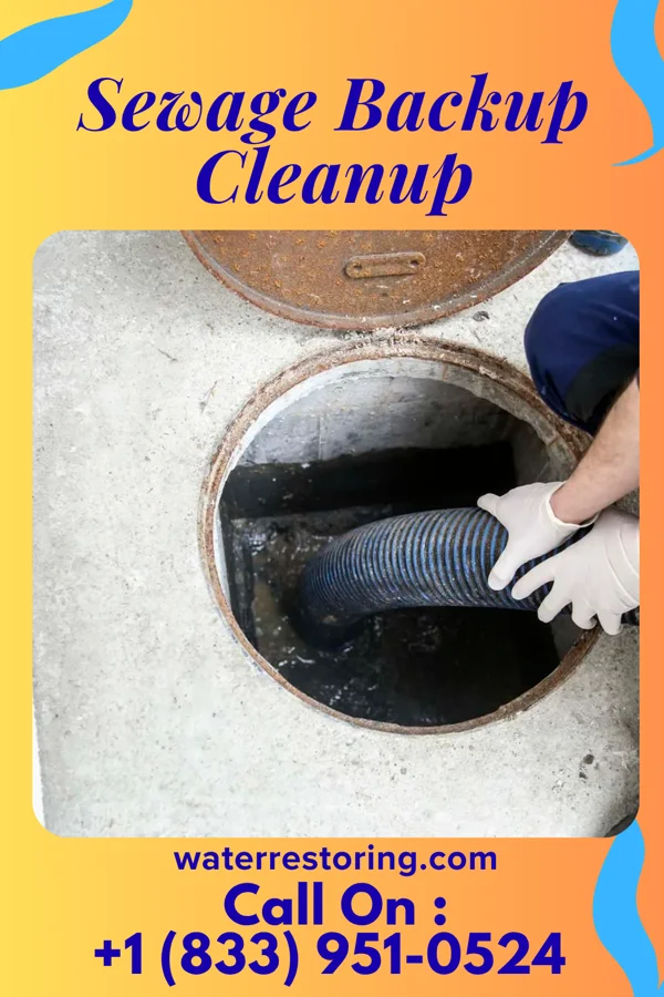 Sewage Backup Cleanup in Selma, IN