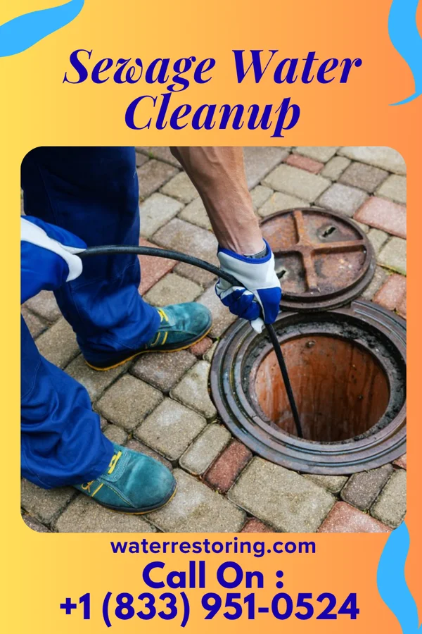 Sewage Water Cleanup in Selma, IN